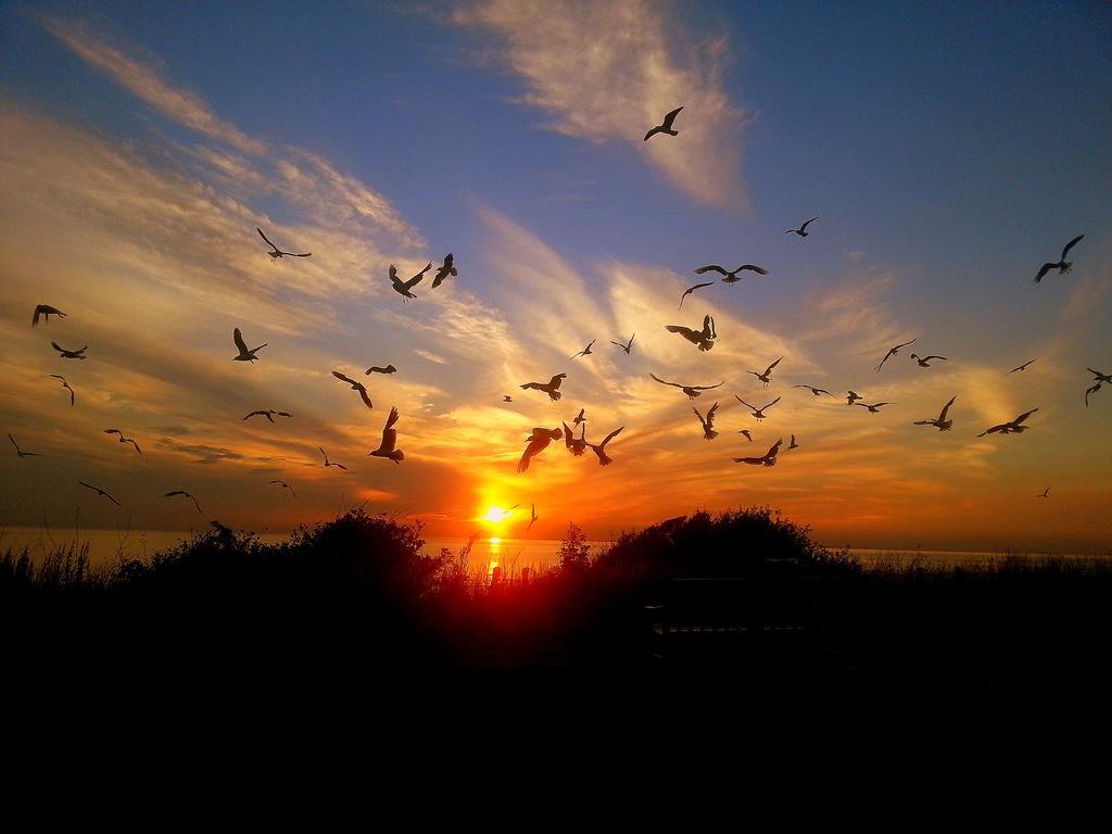 Sunset Guest House 亨斯坦顿 外观 照片 Sunset at the beach