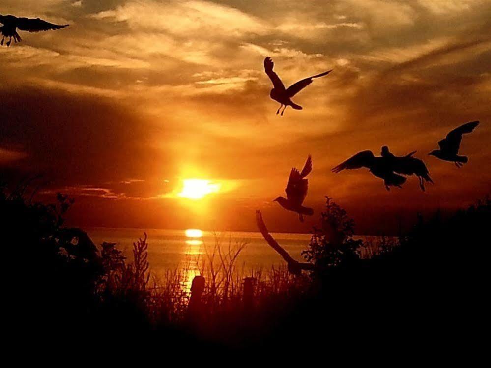 Sunset Guest House 亨斯坦顿 外观 照片 Sunset at the beach